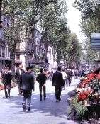 Barcelona1The Ramblas
